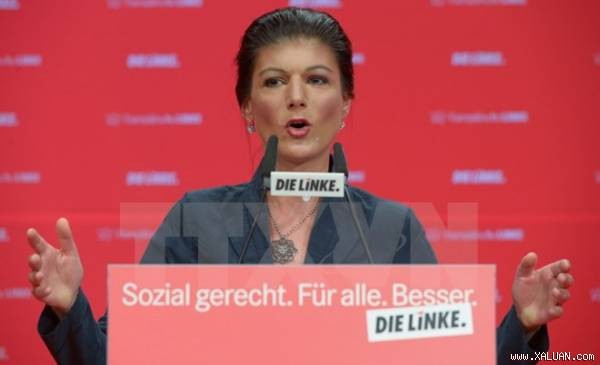 Левая партия Бундестага Германии требует провести референдум по договорам в рамках ЕС - ảnh 1
